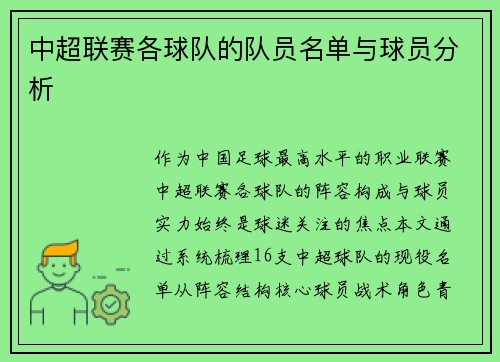 中超联赛各球队的队员名单与球员分析
